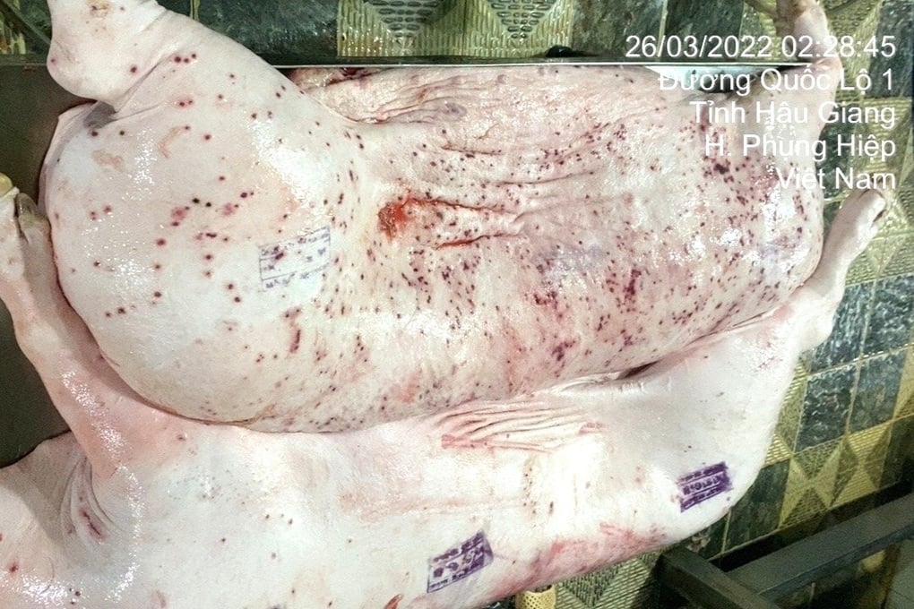 vu-to-cp-ban-heo-benh-nhieu-cua-hang-ngung-ban-san-pham-cua-cp-1748968714446-100549
